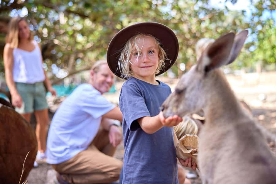 Port Douglas: Breakfast with the Birds - Key points at a glance