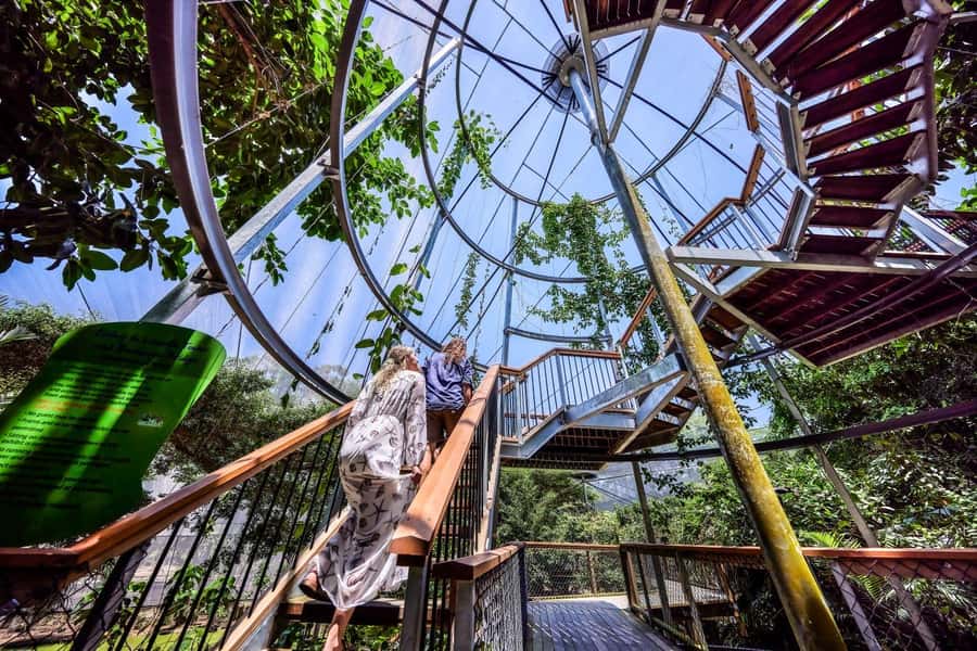 Port Douglas: Breakfast with the Birds - Breakfast begins among free-flying birds