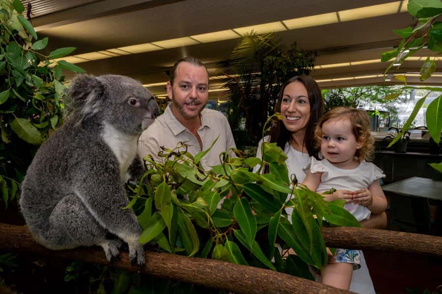 Port Douglas: Breakfast with the Birds - The five-day ticket changes the value