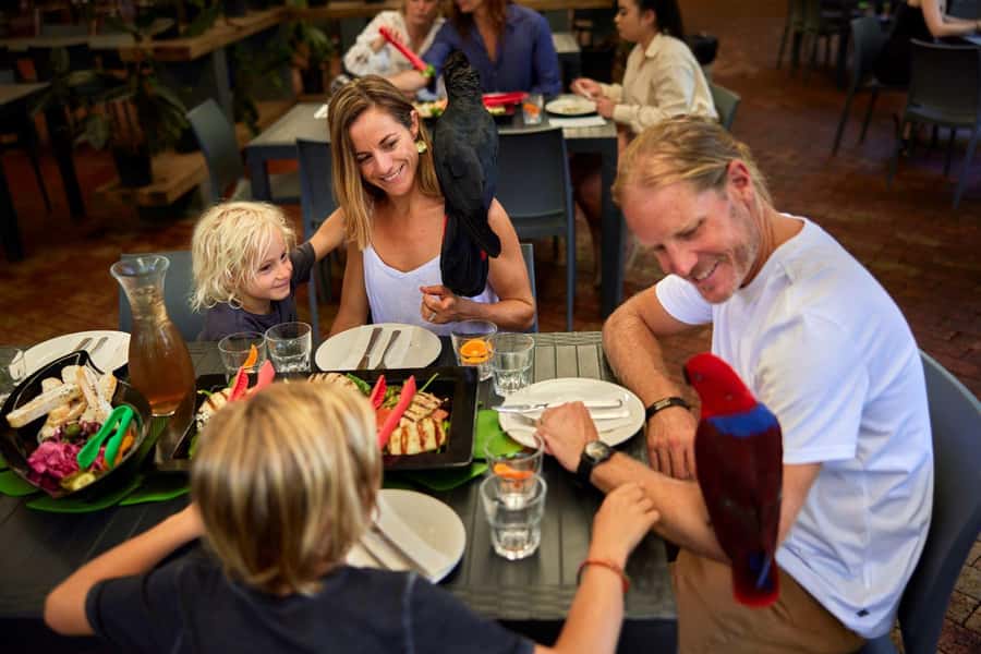 Port Douglas: Breakfast with the Birds - Timing, check-in, and useful planning advice