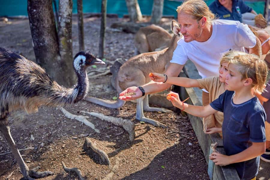 Port Douglas: Breakfast with the Birds - What arrives on the breakfast table