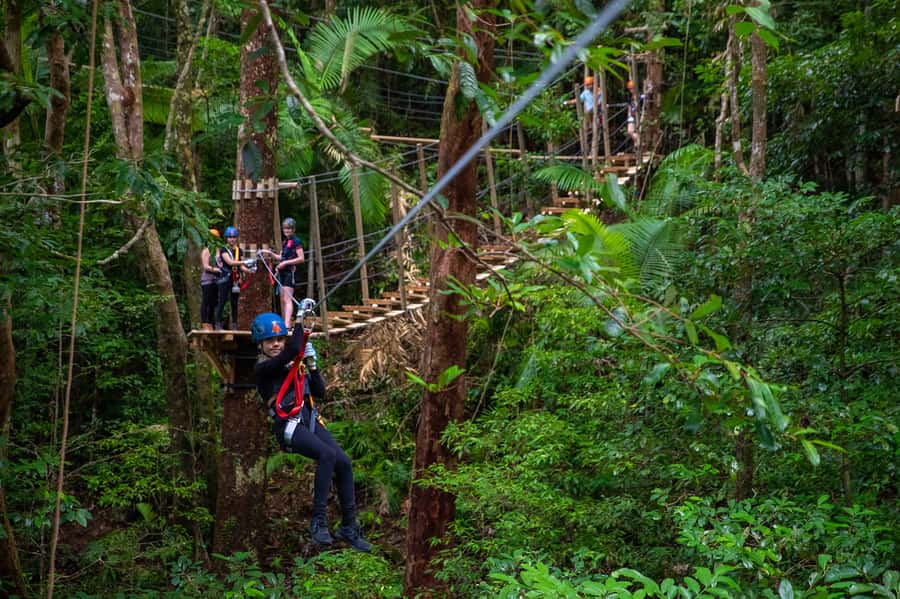 Port Douglas: Daintree National Park Tour, Cruise, & Zipline - Key points to know before booking