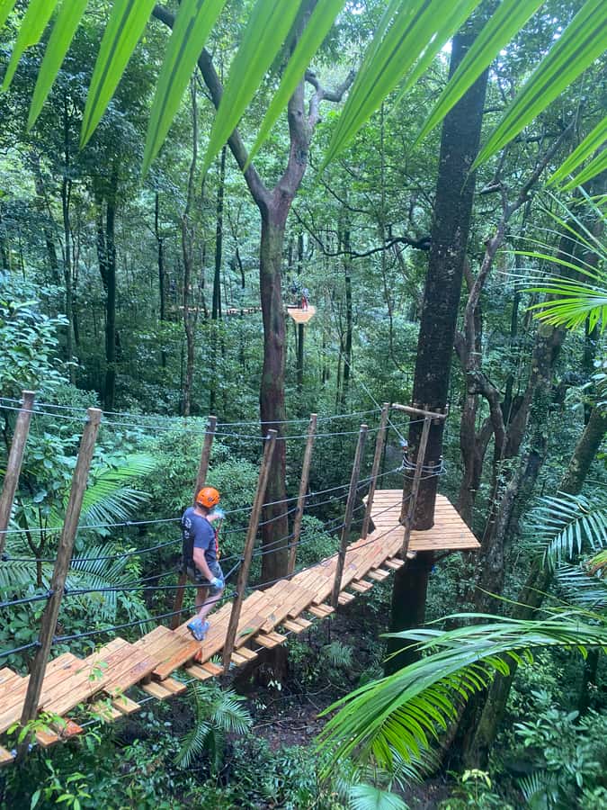 Port Douglas: Daintree National Park Tour, Cruise, & Zipline - Port Douglas to the Daintree River