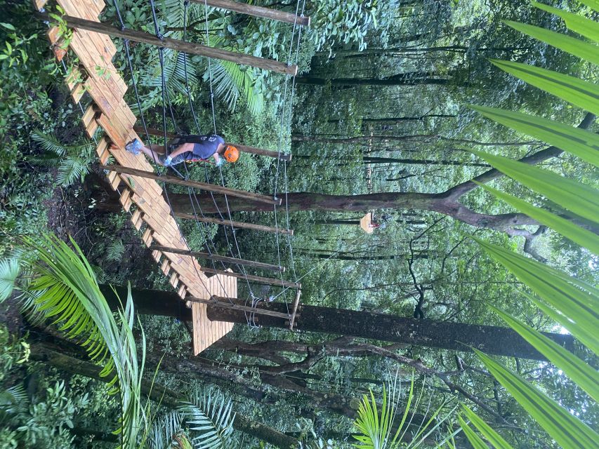 Port Douglas: Daintree National Park Tour, Cruise, & Zipline - Lunch and a chance to catch your breath