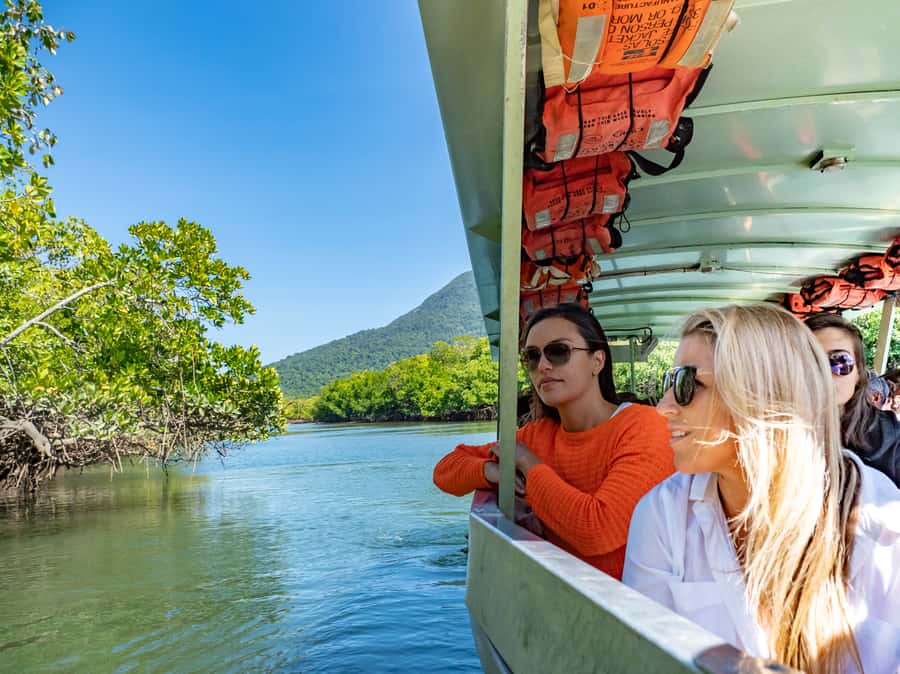 Port Douglas: Daintree National Park Tour, Cruise, & Zipline - Alexandra Lookout and the wide coastal view