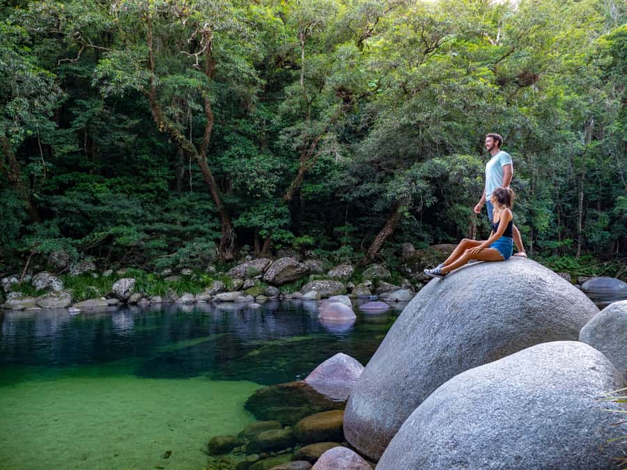 Port Douglas: Daintree Rainforest and Cape Tribulation Tour - Why this nine-hour Daintree day works