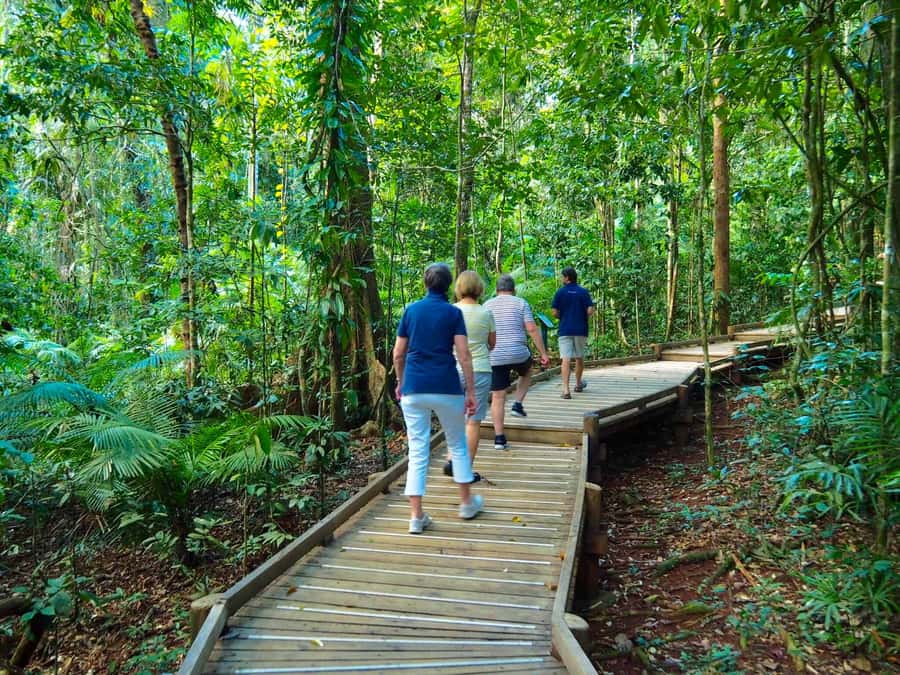 Port Douglas: Daintree Rainforest and Cape Tribulation Tour - Crossing the Daintree River by ferry