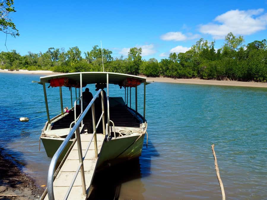 Port Douglas: Daintree Rainforest and Cape Tribulation Tour - Lunch at Heritage Lodge