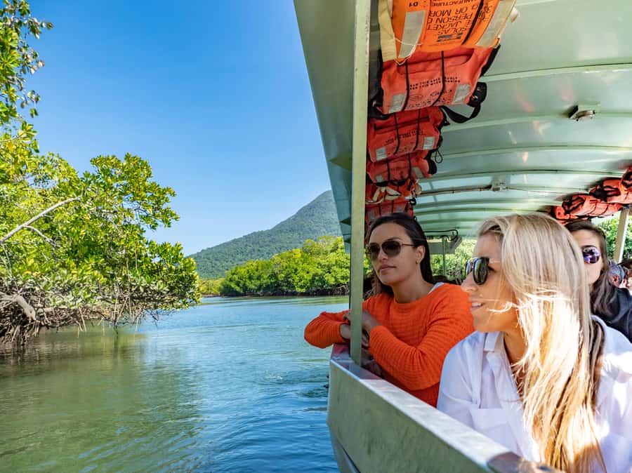 Port Douglas: Daintree Rainforest and Cape Tribulation Tour - Alexandra Lookout and the wide view home