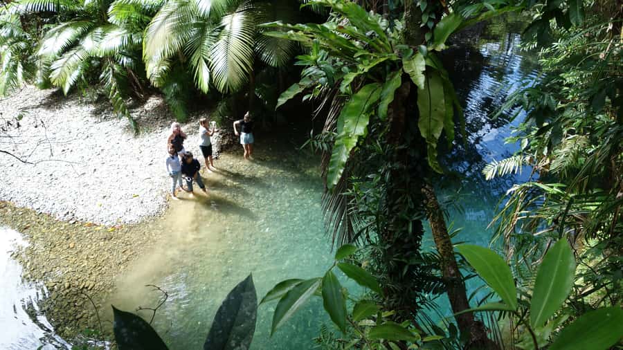 Port Douglas: Daintree Rainforest and Cape Tribulation Tour - Mossman Gorge and the first rainforest walk