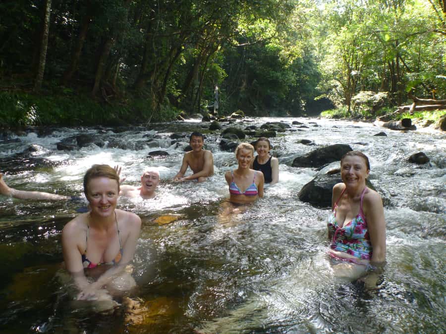 Port Douglas: Daintree Rainforest and Mossman Gorge Tour - Alexandra Lookout opens the forest toward the Coral Sea