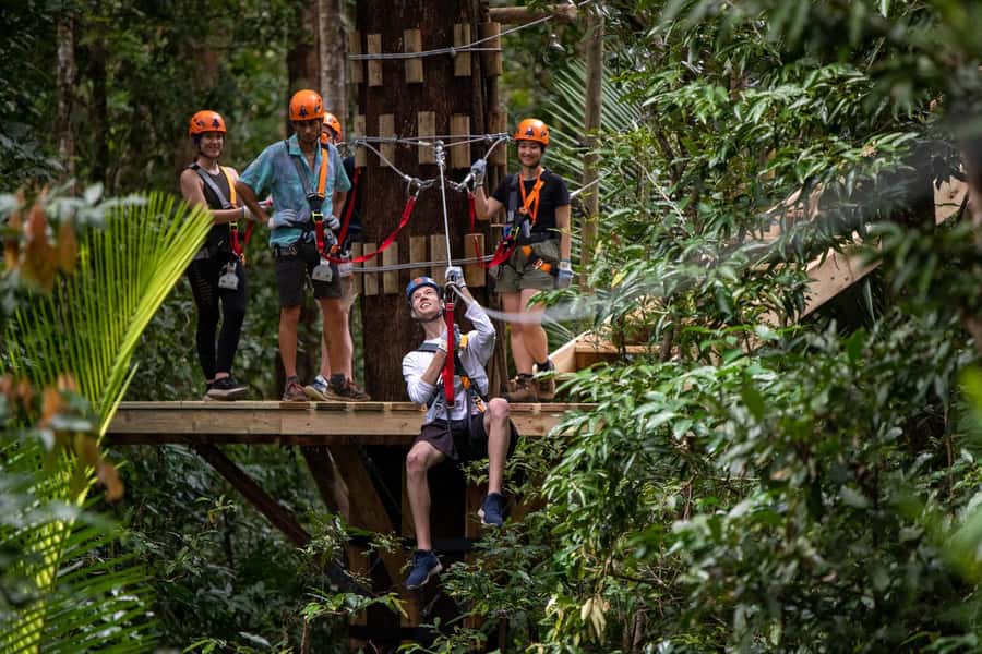 Port Douglas: Daintree Rainforest Canopy Ziplining Tour - The first platforms and the Daintree canopy