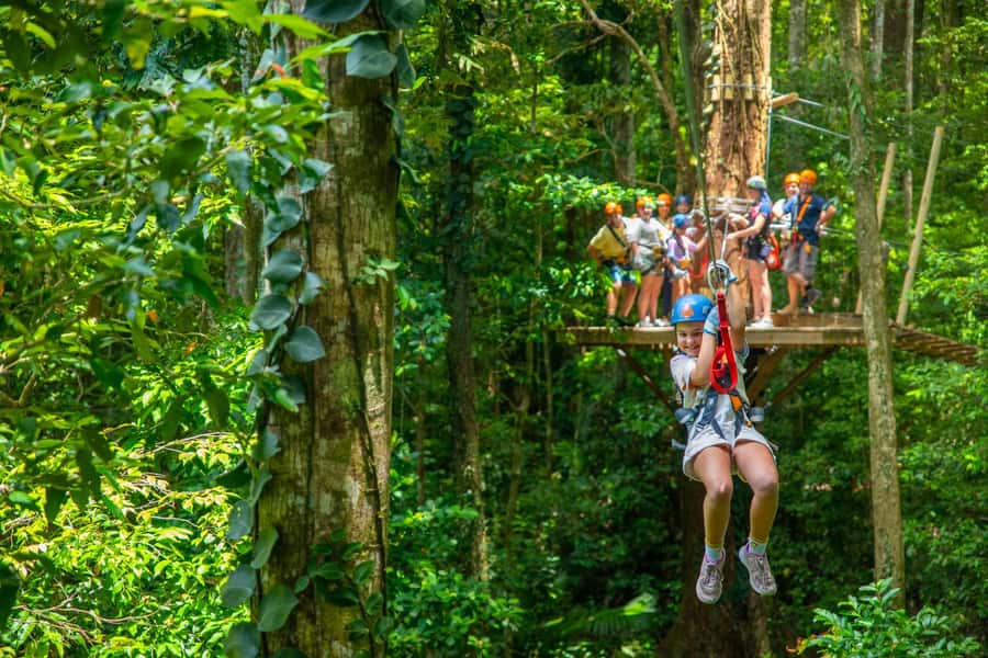Port Douglas: Daintree Rainforest Canopy Ziplining Tour - What the two-hour duration really means