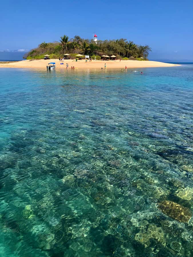 Port Douglas: Half-Day Low Island and Lagoon Snorkeling Tour - Meeting at 44 Wharf Street