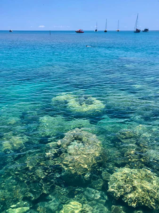 Port Douglas: Half-Day Low Island and Lagoon Snorkeling Tour - The 15-minute speedboat ride to Low Island
