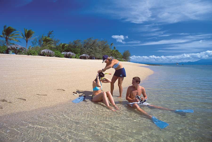 Port Douglas: Low Isles Afternoon Cruise on Luxury Catamaran - Glass-Bottom Viewing for a Dry Look at the Reef