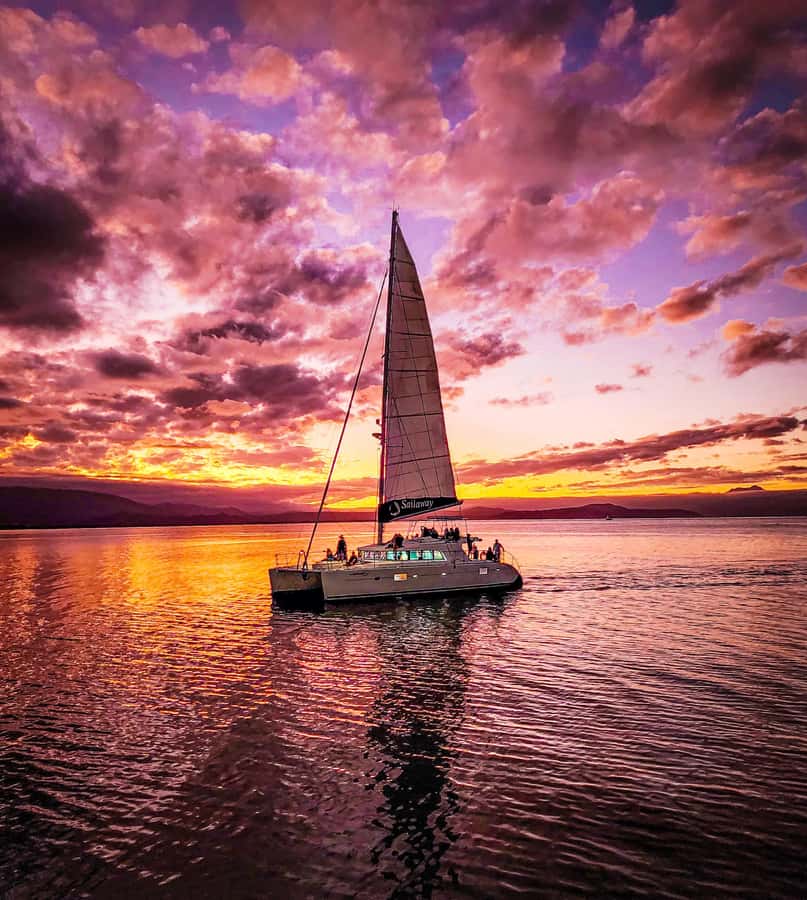 Port Douglas: Low Isles Afternoon Cruise on Luxury Catamaran - The Daintree Sunset Sail