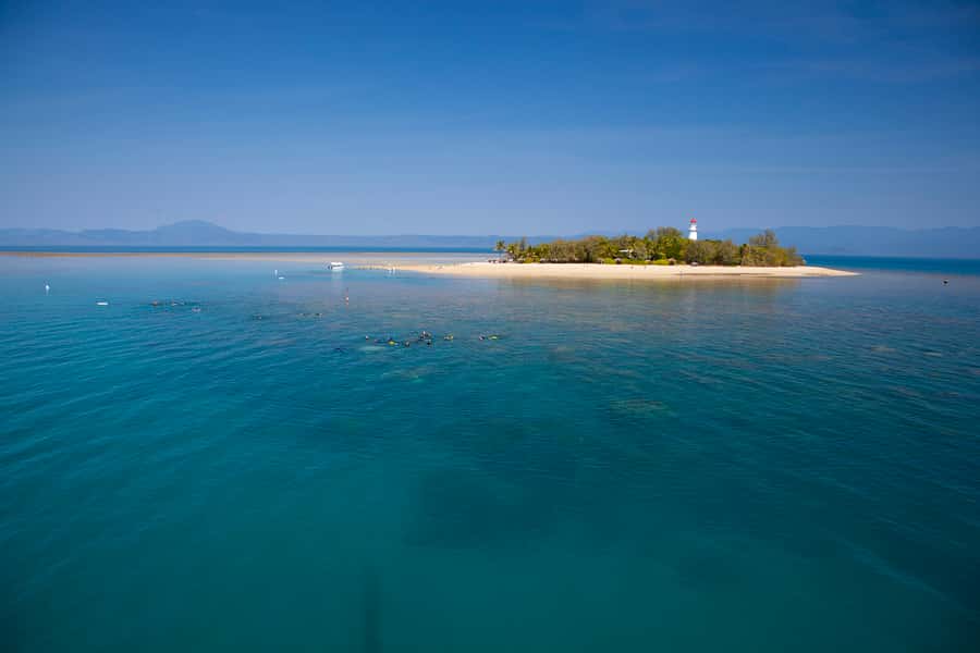 Port Douglas: Low Isles Glass Bottom Boat & Snorkeling Tour - The glass-bottom boat option for non-swimmers