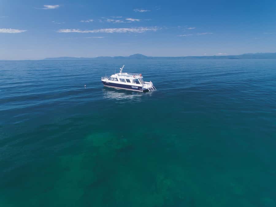 Port Douglas: Low Isles Glass Bottom Boat & Snorkeling Tour - Food, timing, and the value of a four-hour trip