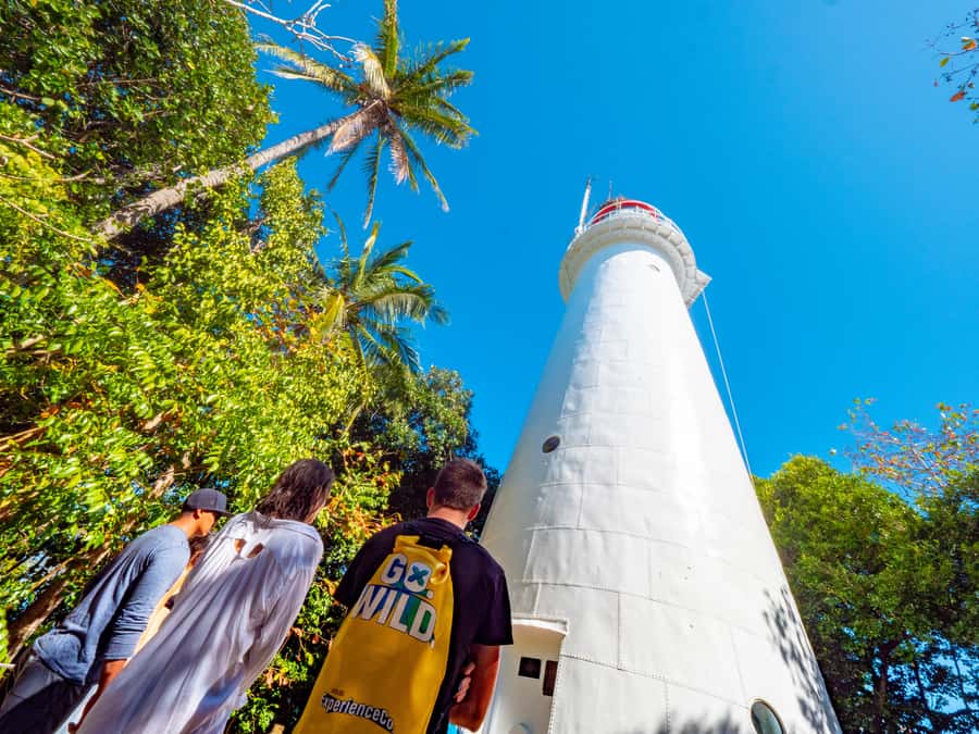 Port Douglas: Low Isles Glass Bottom Boat & Snorkeling Tour - Booking details worth knowing