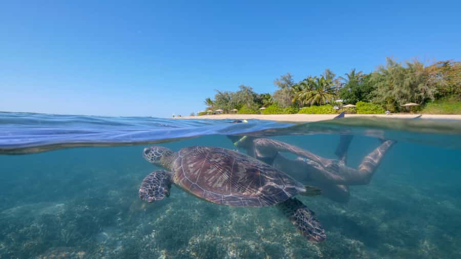 Port Douglas: Low Isles Glass Bottom Boat & Snorkeling Tour - The Low Isles lagoon and its calm snorkeling water