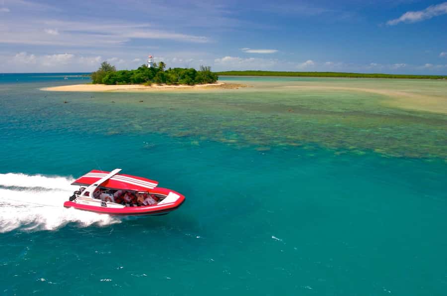 Port Douglas: Low Isles Reef Snorkeling Tour - What your 1.5 hours at Low Isles looks like