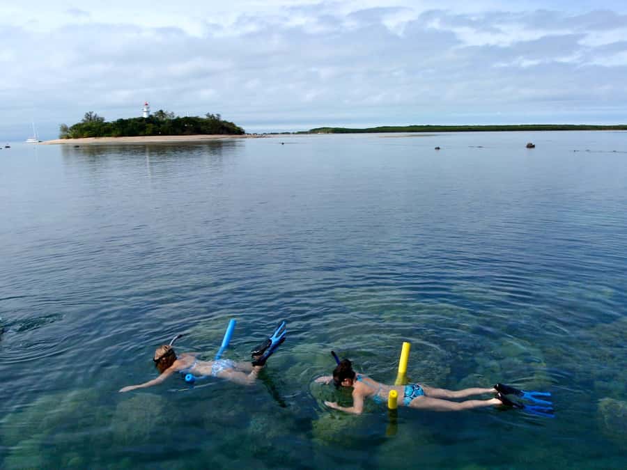 Port Douglas: Low Isles Reef Snorkeling Tour - The practical call