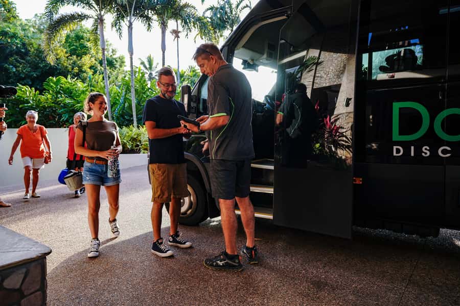Port Douglas: Morning Daintree Tour w/ Wildlife Cruise - Why this Daintree morning tour works well