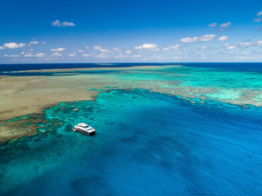 Port Douglas: Outer Barrier Reef Snorkel and Dive Options - Why three Outer Reef sites matter