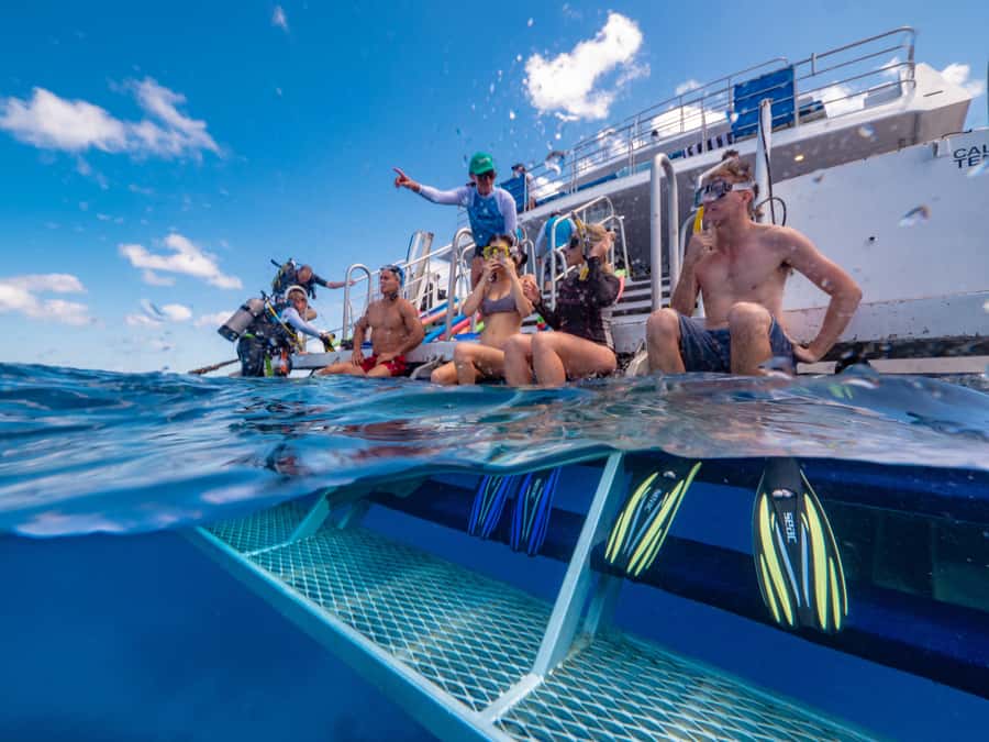 Port Douglas: Outer Barrier Reef Snorkel and Dive Options - What the boat experience is really like