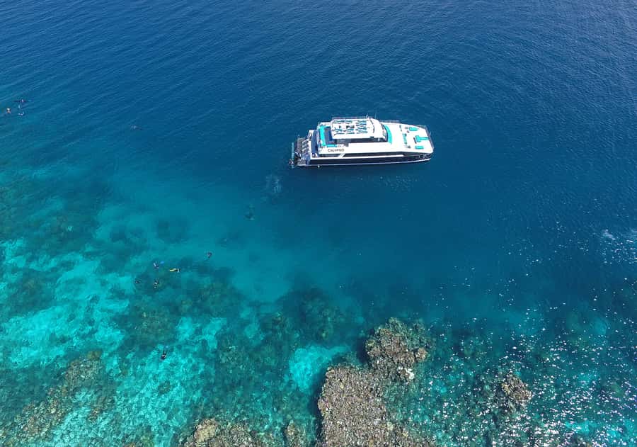 Port Douglas: Outer Barrier Reef Snorkel and Dive Options - Is the $174 price good value?