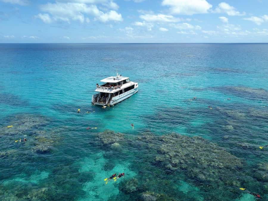 Port Douglas: Outer Great Barrier Reef Snorkeling Cruise - First water session: getting comfortable on the reef