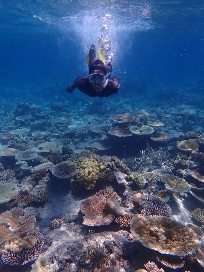 Port Douglas: Outer Great Barrier Reef Snorkeling Cruise - The second site and the guided snorkel