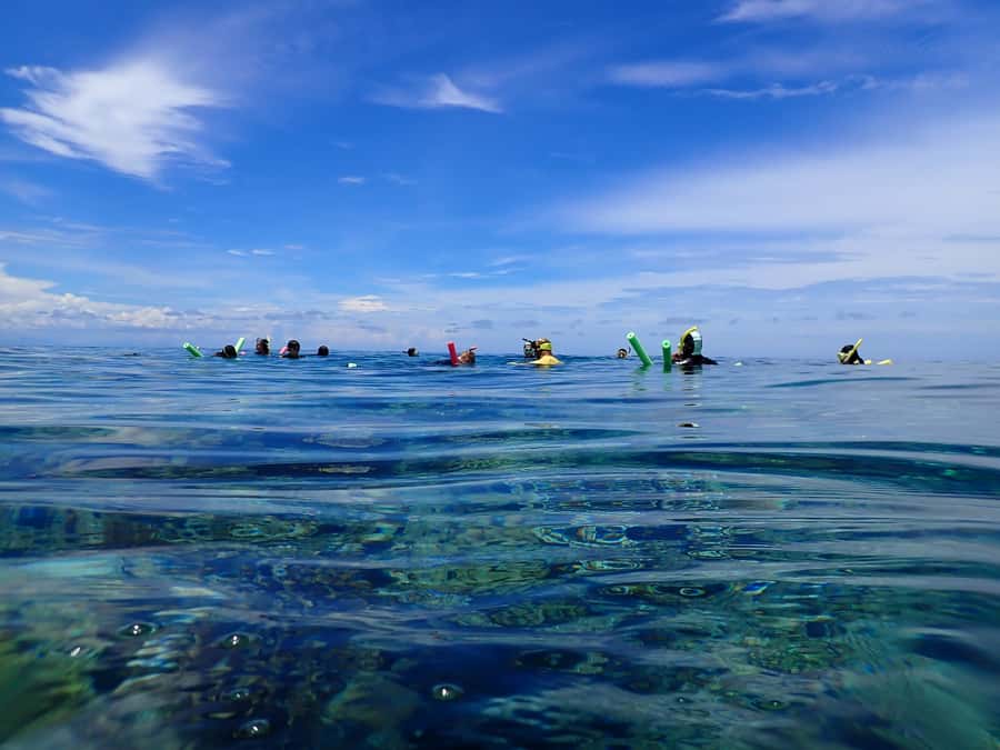 Port Douglas: Outer Great Barrier Reef Snorkeling Cruise - Lunch, reef talk, and plenty of refreshments