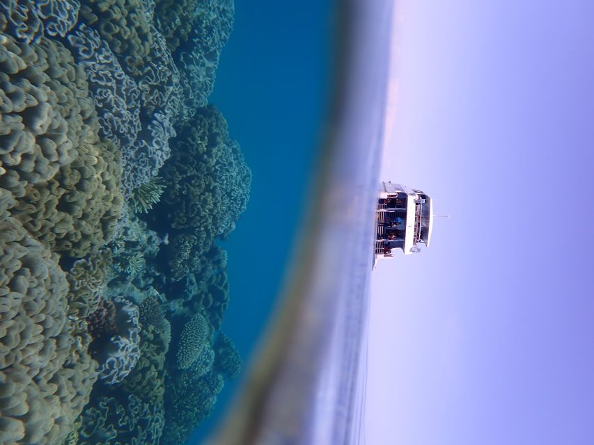 Port Douglas: Outer Great Barrier Reef Snorkeling Cruise - Who should book this Port Douglas cruise?