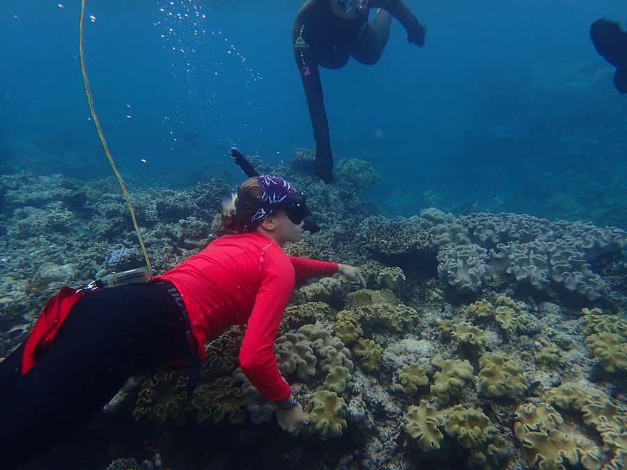 Port Douglas: Outer Great Barrier Reef Snorkeling Cruise - The 90-minute ride from Port Douglas