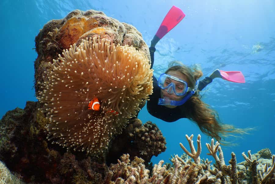 Port Douglas: Quicksilver Outer Barrier Reef Full-Day Cruise - Quicksilver Reef Cruise: Key Points