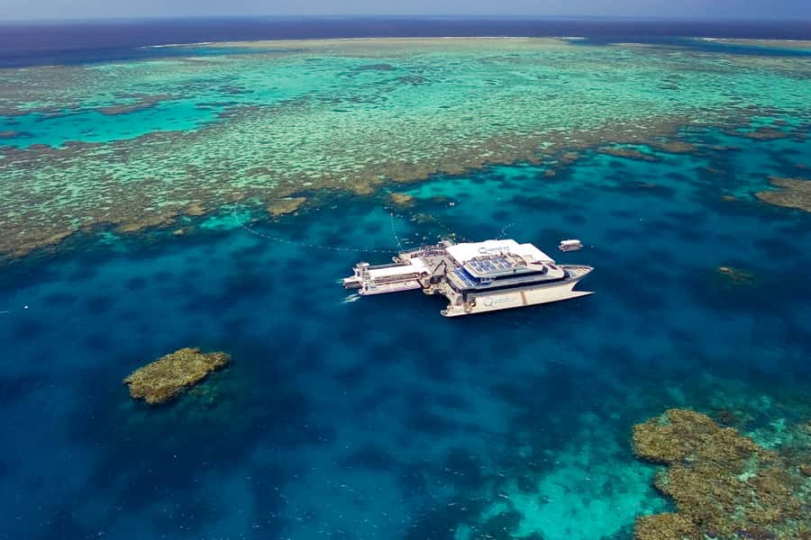 Port Douglas: Quicksilver Outer Barrier Reef Full-Day Cruise - Three and a Half Hours on the Activity Platform