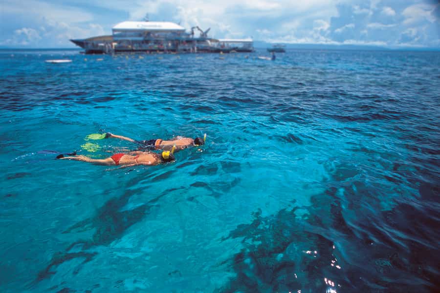Port Douglas: Quicksilver Outer Barrier Reef Full-Day Cruise - Optional Scuba, Helmet Walking, and Guided Snorkeling