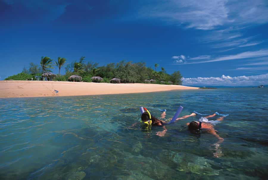 Port Douglas: Reef & Low Isles Cruise on Luxury Catamaran - The guided snorkel and coral gardens