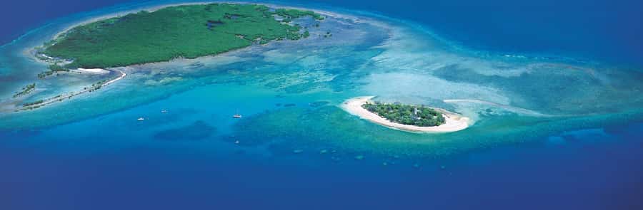 Port Douglas: Reef & Low Isles Cruise on Luxury Catamaran - A heritage walk and time to slow down