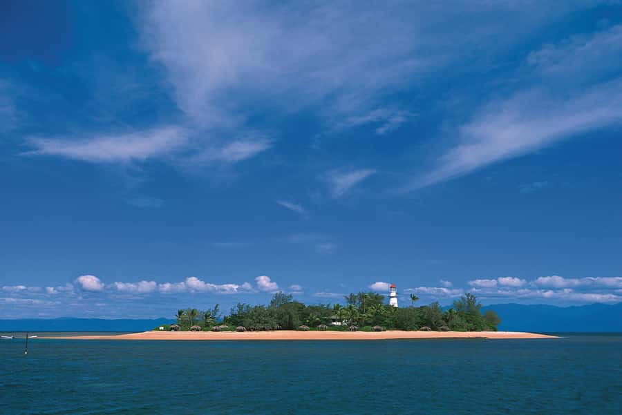 Port Douglas: Reef & Low Isles Cruise on Luxury Catamaran - Buffet lunch, morning tea, and afternoon tea
