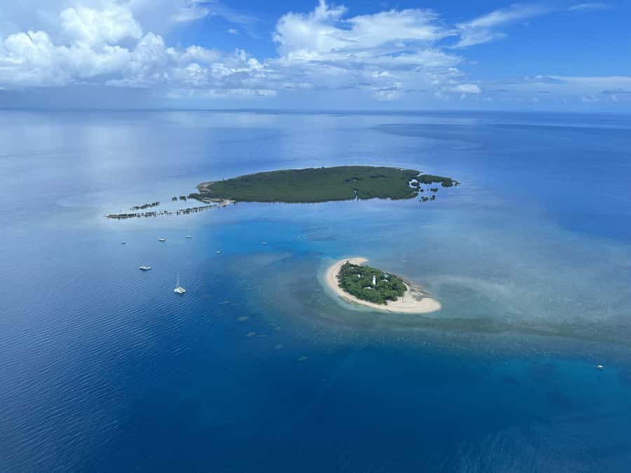 Port Douglas: Reef & Low Isles Cruise on Luxury Catamaran - Who should book this Low Isles cruise?