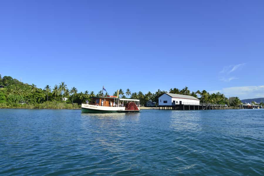 Port Douglas: River Cruise, Crocodile Spotting, Drink/ Snack - Mangroves, creeks, and the Dickson Inlet