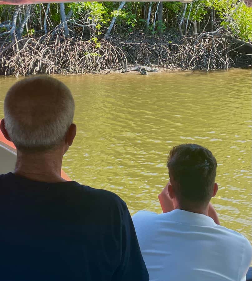 Port Douglas: River Cruise, Crocodile Spotting, Drink/ Snack - Who should book the Lady Douglas cruise?