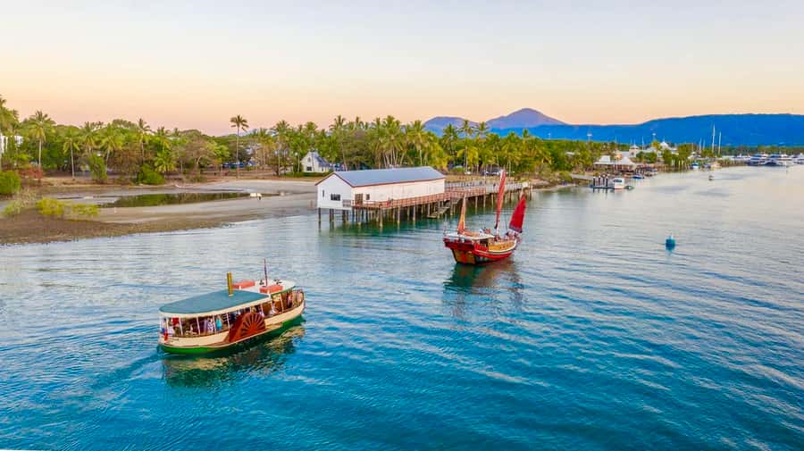 Port Douglas: River Cruise, Crocodile Spotting, Drink/ Snack - Searching for saltwater crocodiles