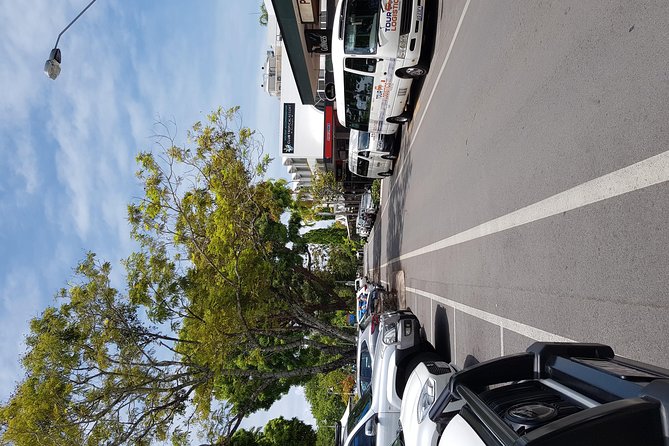 Port Douglas Sunday Markets Day Tour - Two hours at the Port Douglas Sunday Market