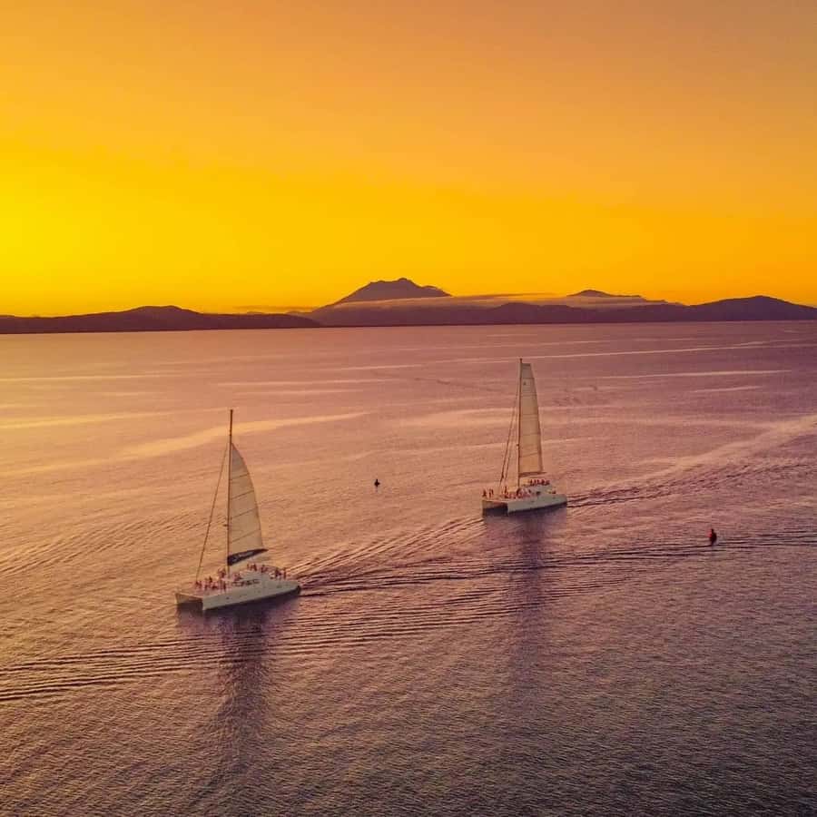 Port Douglas: Sunset Sailing Cruise on Luxury Catamaran - Practical advice for a smoother trip