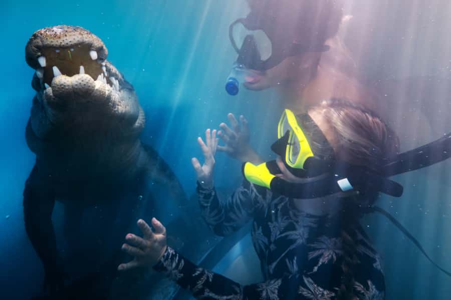 Port Douglas: Wildlife Habitat Swim with Crocodiles - Key points to know before you book