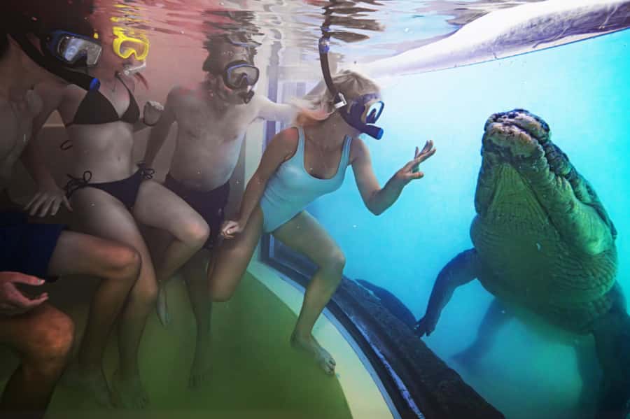 Port Douglas: Wildlife Habitat Swim with Crocodiles - The 45-minute session and the time you really need